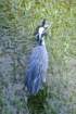 dsc03495_small.jpg