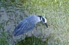 dsc03499_small.jpg