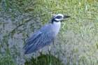 dsc03503_small.jpg