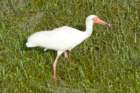 dsc03529_small.jpg