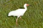dsc03530_small.jpg