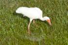 dsc03531_small.jpg