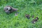 dsc03578_small.jpg