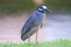 dsc03722_small.jpg