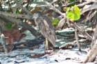 dsc03692_small.jpg