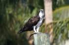 dsc03228_small.jpg