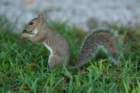 dsc03749_small.jpg