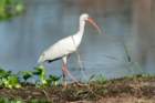dsc04015_small.jpg
