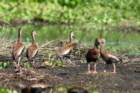 dsc04038_small.jpg