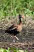 dsc04045_small.jpg