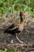 dsc04046_small.jpg