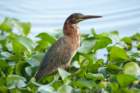 dsc04098_small.jpg