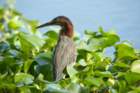 dsc04099_small.jpg