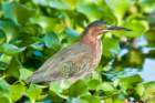 dsc04116_small.jpg