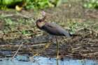 dsc04148_small.jpg