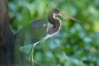 dsc04163_small.jpg