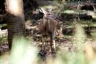 dsc04168_small.jpg