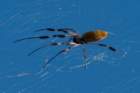dsc04186_small.jpg