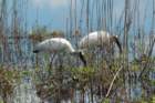 dsc04200_small.jpg