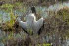 dsc04202_small.jpg