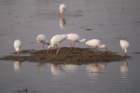 dsc00030_small.jpg