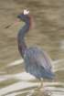 dsc00075_small.jpg