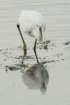 dsc00098_small.jpg