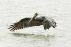dsc00334_small.jpg