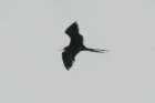 dsc00347_small.jpg