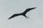 dsc00369_small.jpg