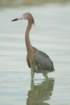 dsc00480_small.jpg