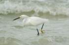 dsc00537_small.jpg