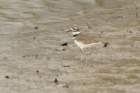 dsc00576_small.jpg