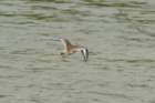 dsc00580_small.jpg