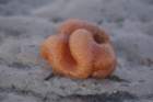 dsc00020_small.jpg