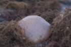 dsc00025_small.jpg
