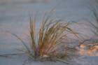 dsc00055_small.jpg