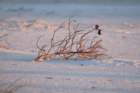 dsc00057_small.jpg