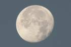 dsc00063_small.jpg