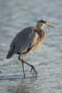 dsc00109_small.jpg