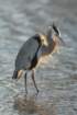 dsc00123_small.jpg