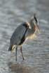 dsc00124_small.jpg