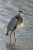 dsc00125_small.jpg