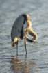 dsc00166_small.jpg