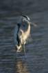 dsc00183_small.jpg