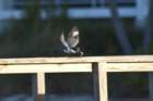 dsc00229_small.jpg