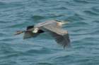 dsc01552_small.jpg