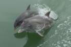dsc01785_small.jpg
