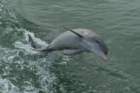 dsc01887_small.jpg