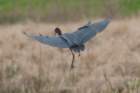 dsc01940_small.jpg
